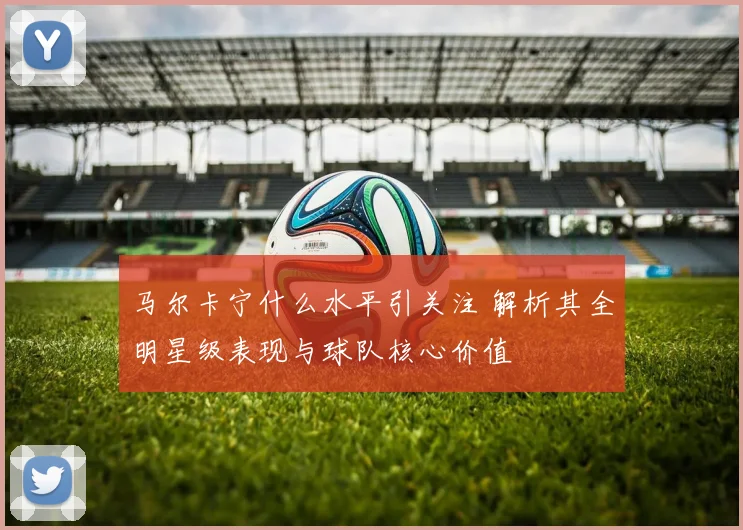 马尔卡宁什么水平引关注 解析其全明星级表现与球队核心价值